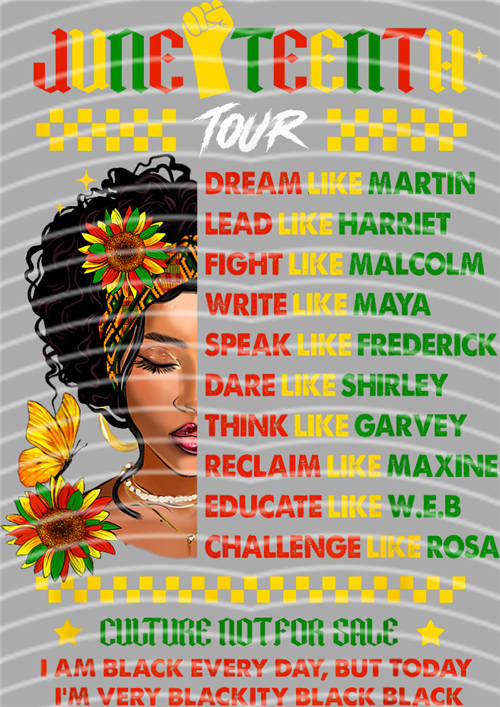 Black History in 1865-LY 315